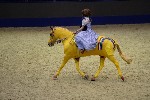 Quadrille - 00538